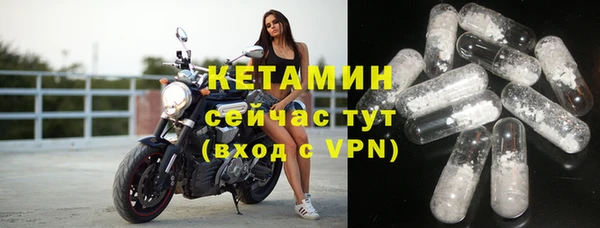 шишки Вязьма