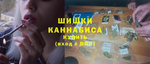шишки Вязьма