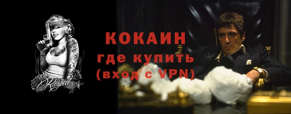 шишки Вязьма