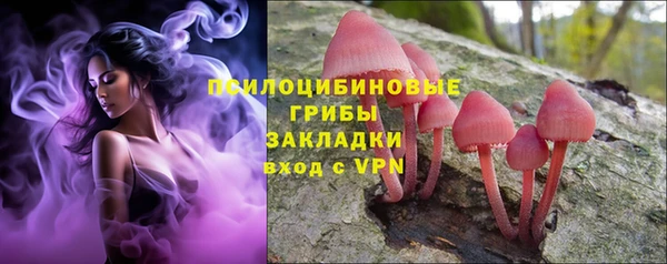 шишки Вязьма