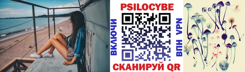продажа наркотиков  Зерноград  Галлюциногенные грибы мицелий 